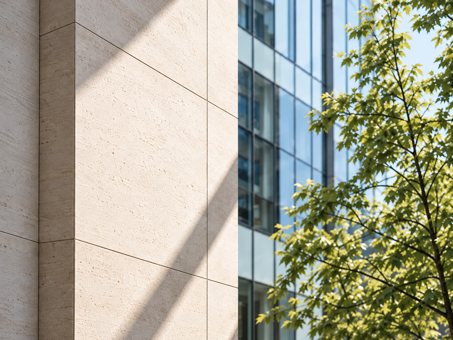 Sunlit limestone beside a glass building and green leaves